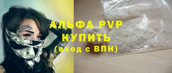прущие грибы Балабаново
