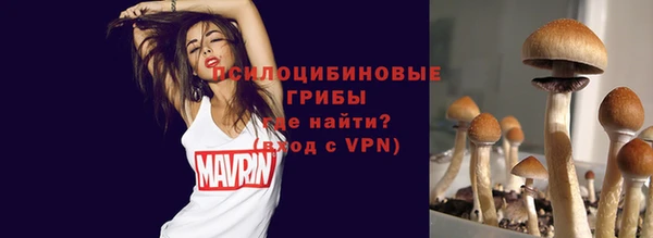 эйфоретик Балахна