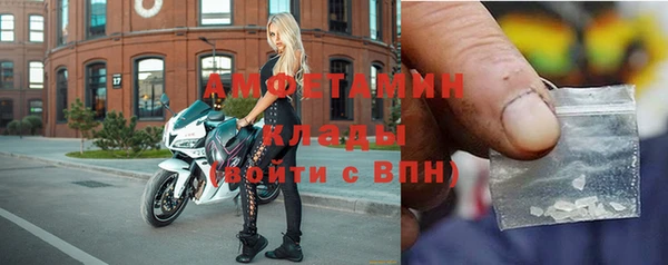 прущие грибы Балабаново
