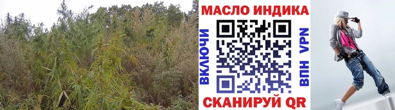 купить закладку  Кувандык  Дистиллят ТГК THC oil 