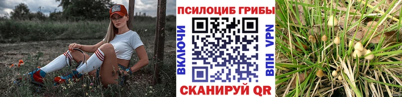 Галлюциногенные грибы мицелий  купить  сайты  Кувандык 