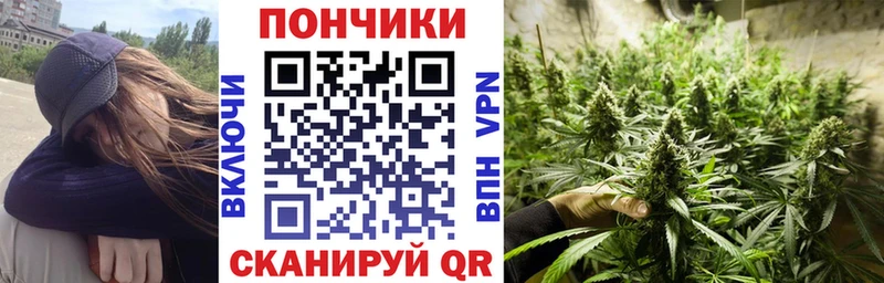 Каннабис гибрид  Кувандык 
